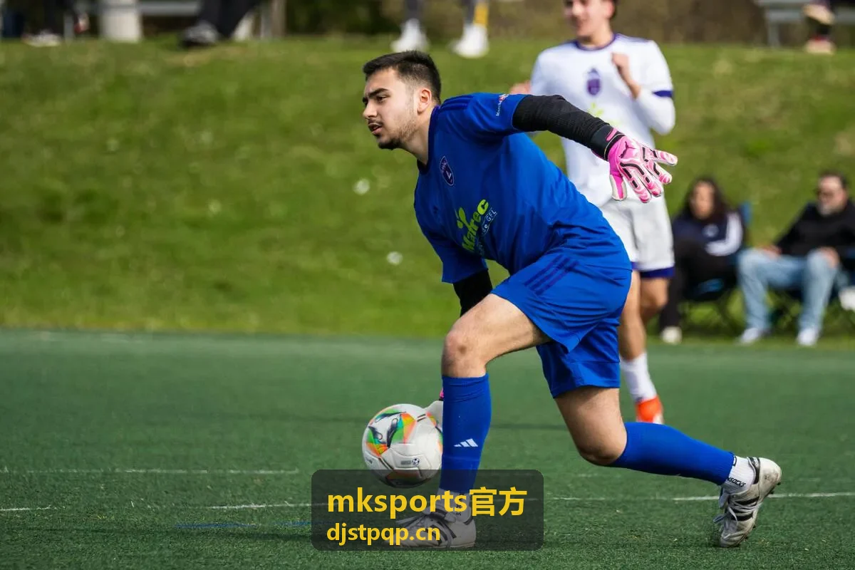 mksports官方玩法分类与判定依据说明图